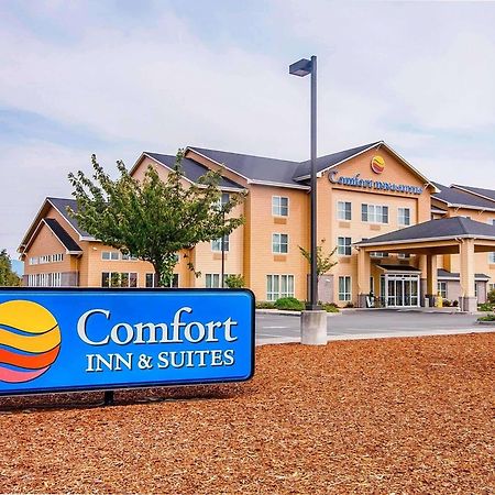 Comfort Inn & Suites Creswell Ngoại thất bức ảnh